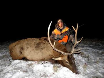 The Gestation Period and Birth of Fawn Whitetail Deer in Ohio