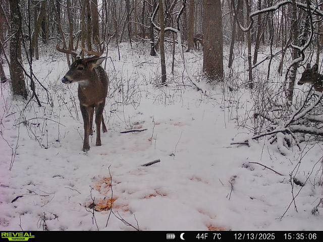 Ohio Deer Hunting Late Season
