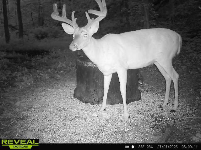 Getting Ready for Ohio Deer Hunting