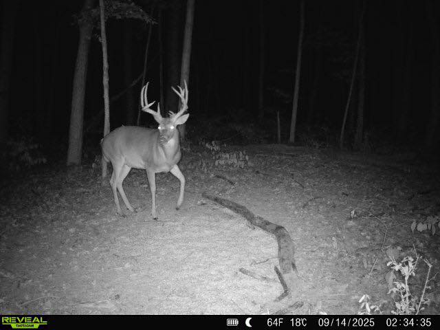 Ohio Deer Hunting Season