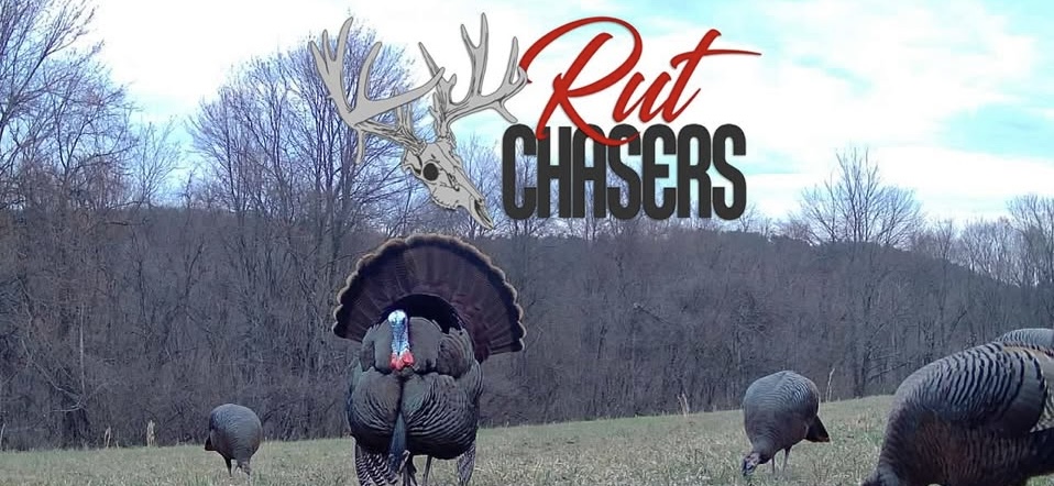 Using a Turkey Call on your Ohio Turkey Hunt
